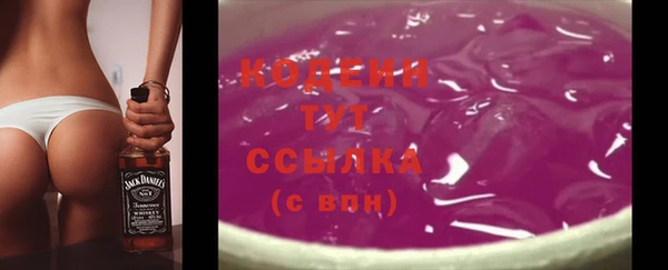 твердый Богданович