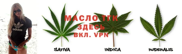 твердый Богданович