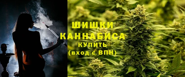 твердый Богданович