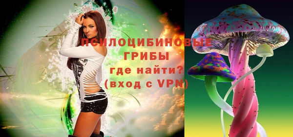 твердый Богданович