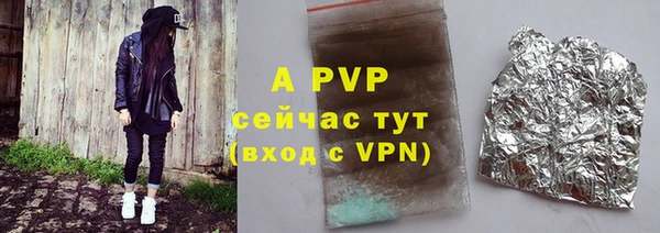 твердый Богданович