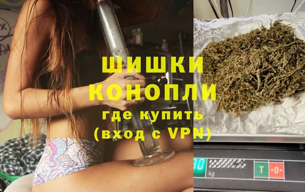 спиды Богородск